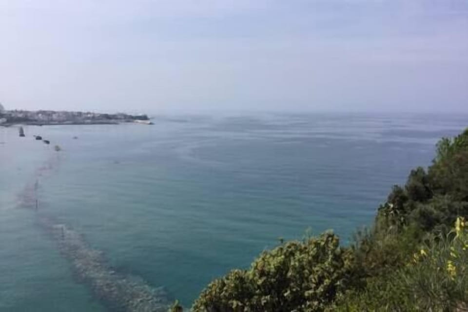 Vista panoramica dal belvedere della tenuta (1)