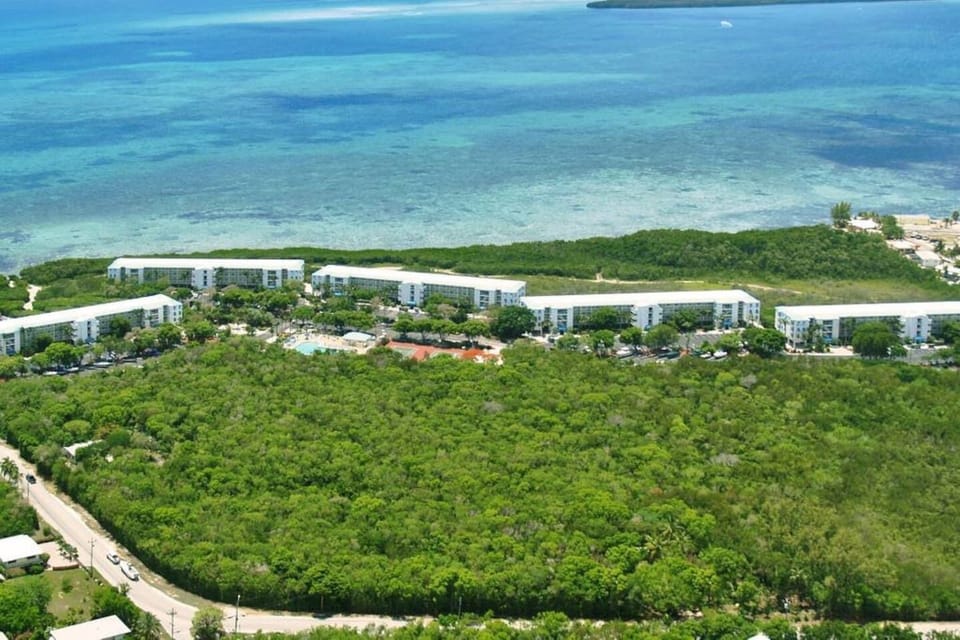 Ocean Pointe from the Air