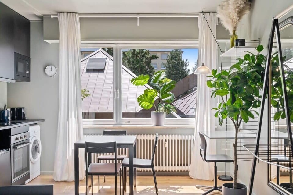 Big windows to allow natural light in for a cozy vibe