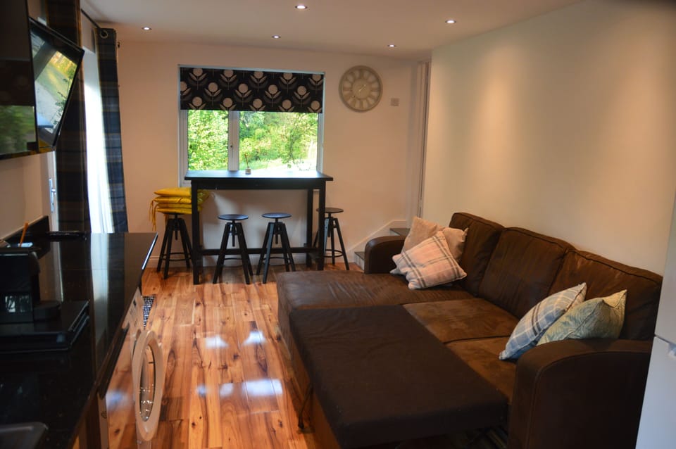 Living Room with Sofa Bed extended to full size