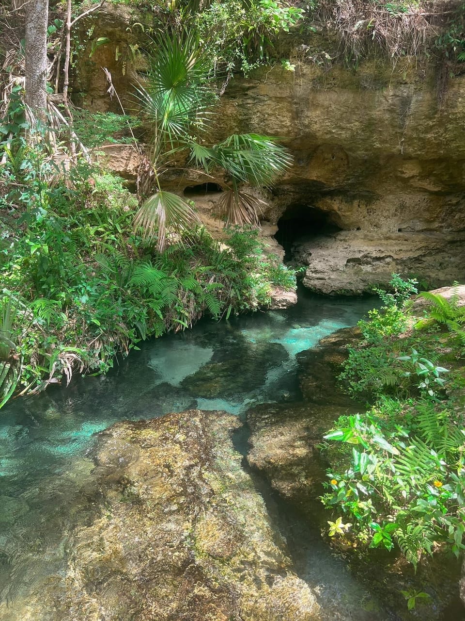 Another local spring, with the most beautiful water! 