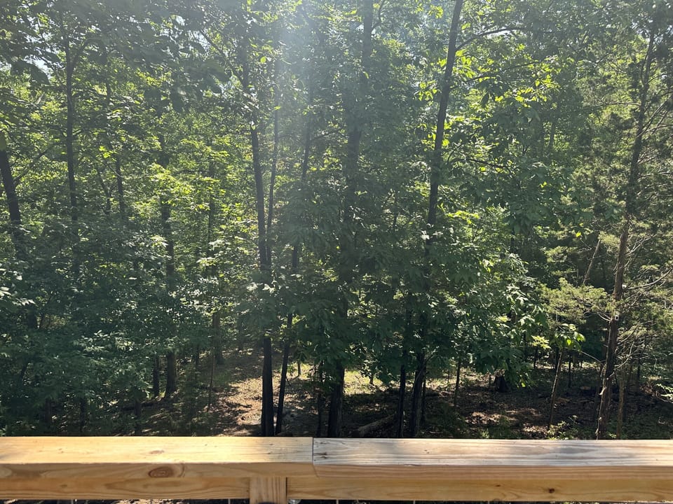 View from the upper deck.