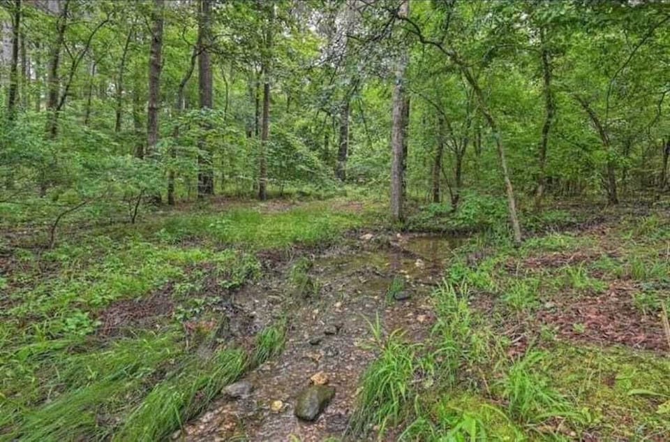 Seasonal creek next to cabin and firepit