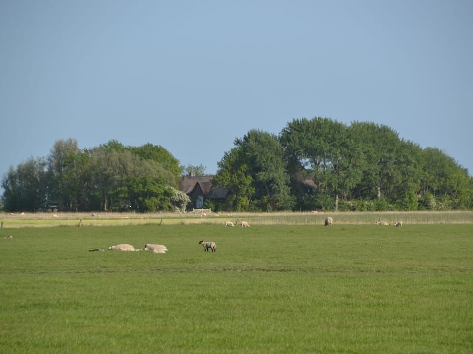 Vacation cottage Geestinsel House in Nordfriesland