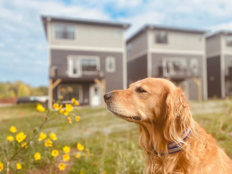 Dog-friendly rental near Lake Superior—Luna approved for your stay.