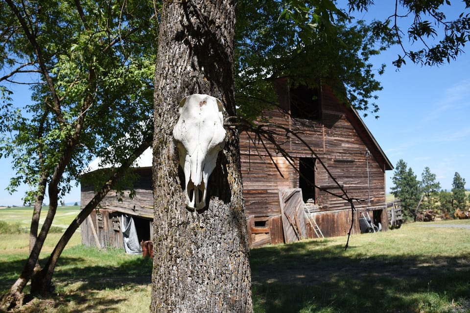 View of the Old Barn