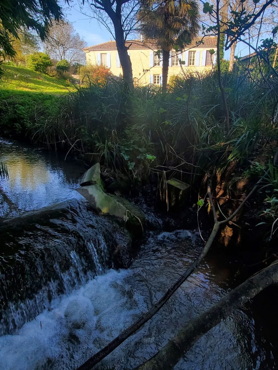 Stream at bottom of garden looking towards house