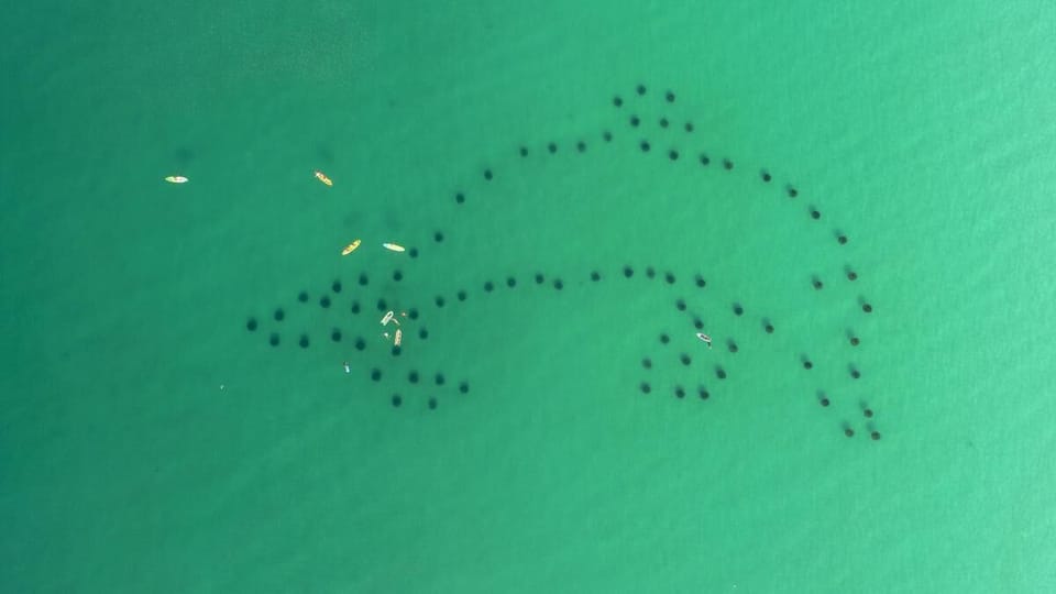 Artificial Reef