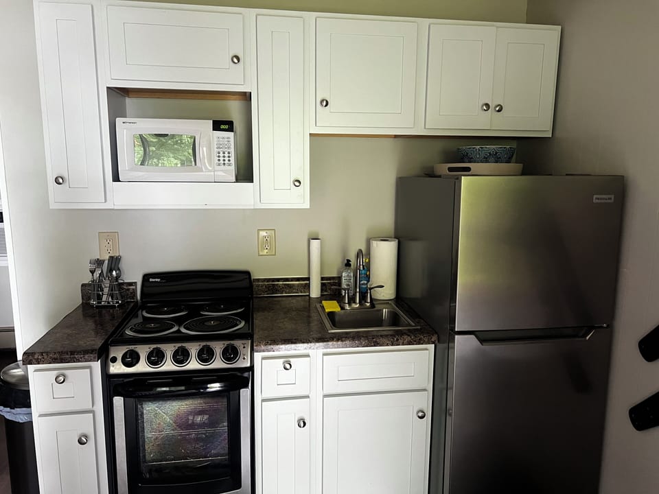Fridge, freezer, oven/stove, sink, and microwave available for use