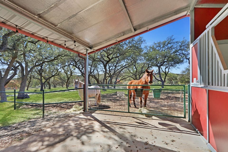 Stop by and see the horses on the property
