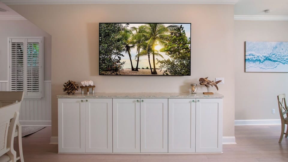 The large flat screen TV...