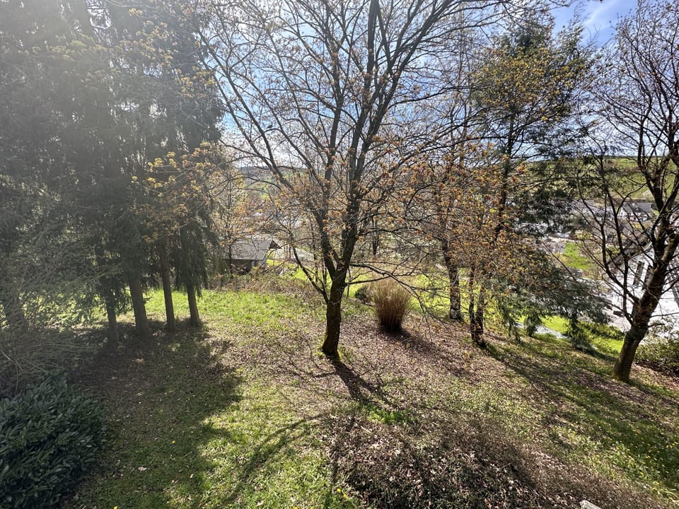 Garden beginning of spring.