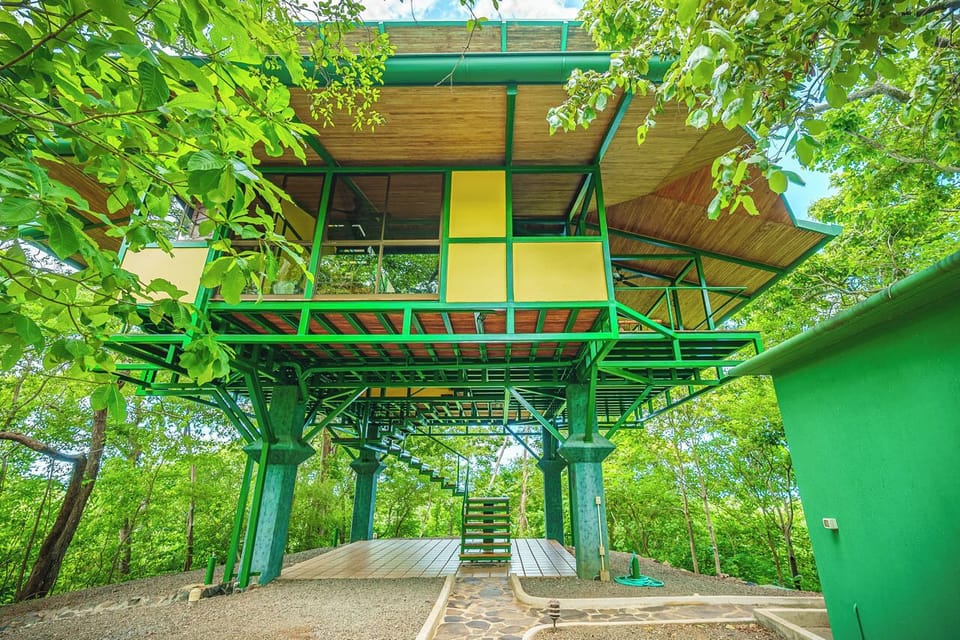 The Tree House