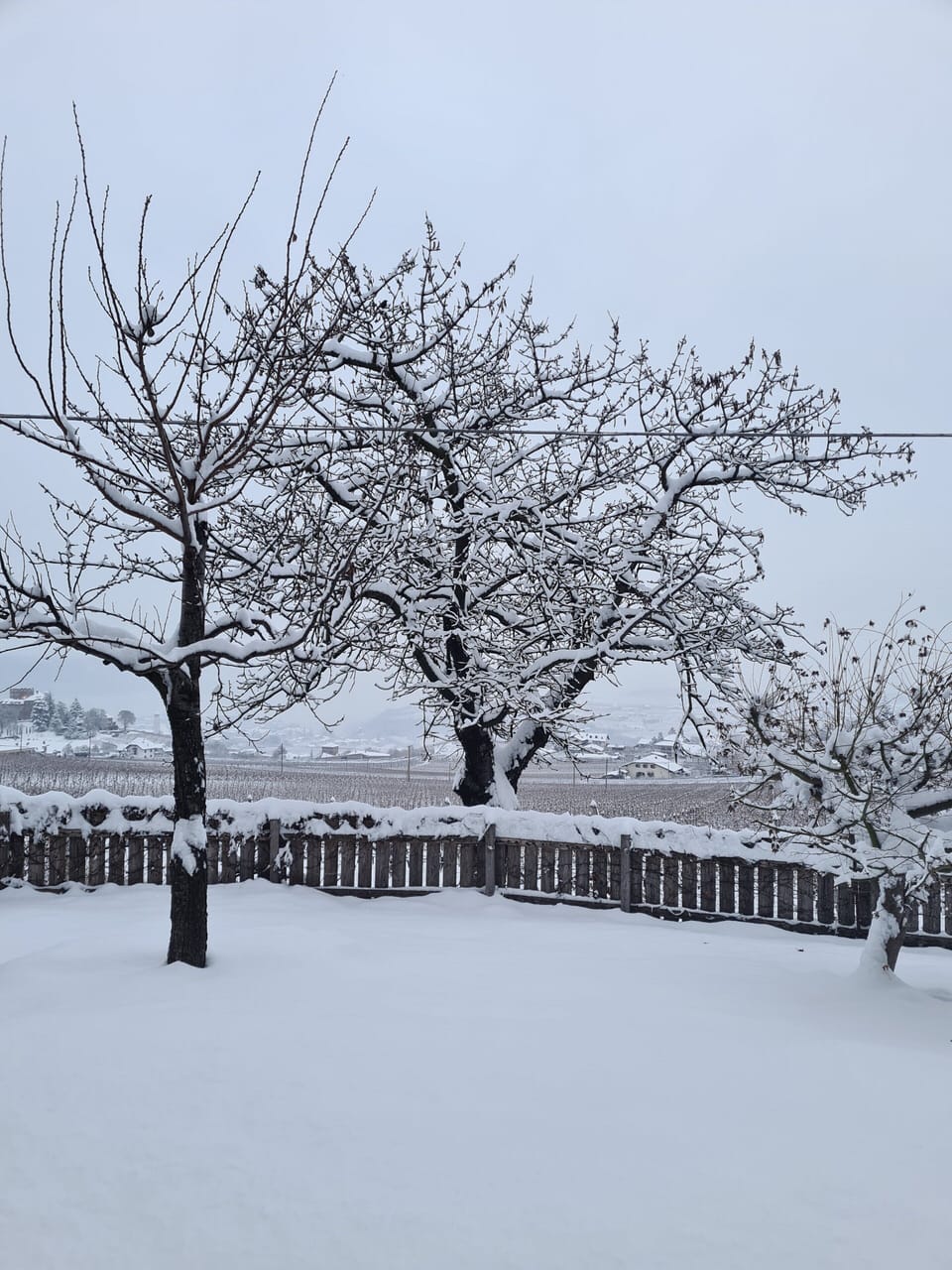 Apartments Harmony South view Apartment in Trentino-South Tyrol