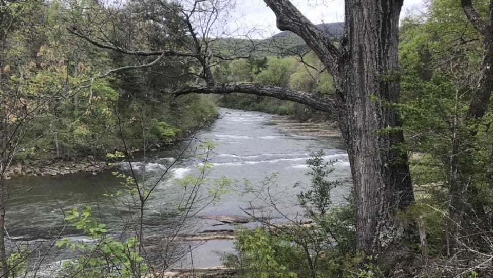 Along the small back road we walk/ run/ bike on. It is beautiful here. 