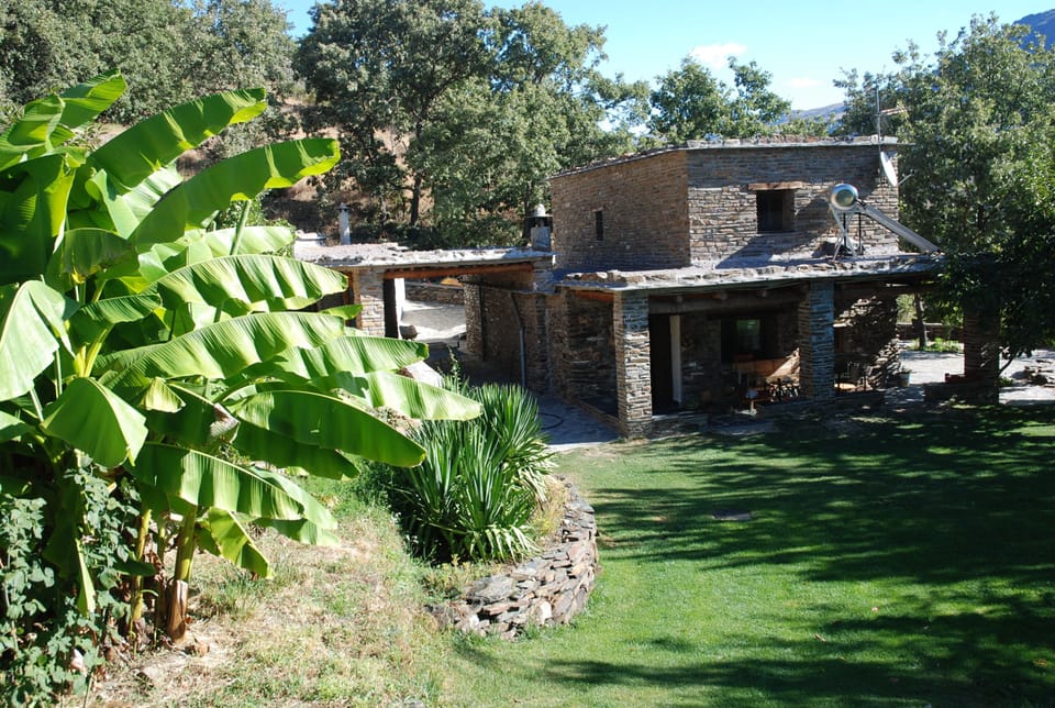 Almond Cortiijo at Cortijos Rey Fini.