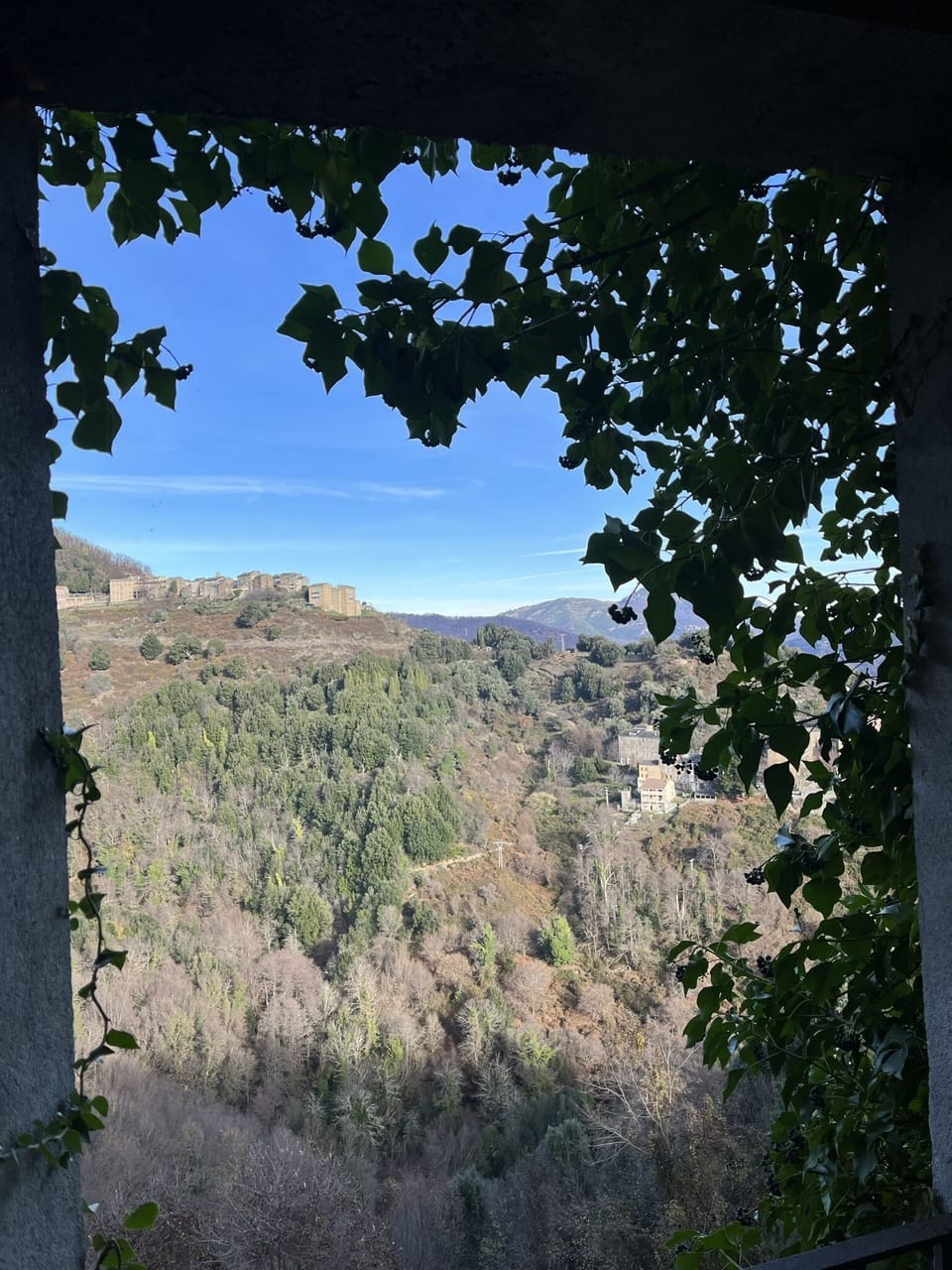 View from property