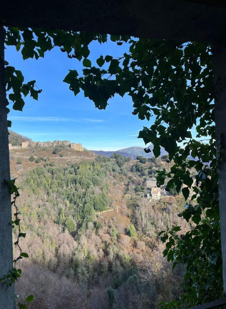 View from property