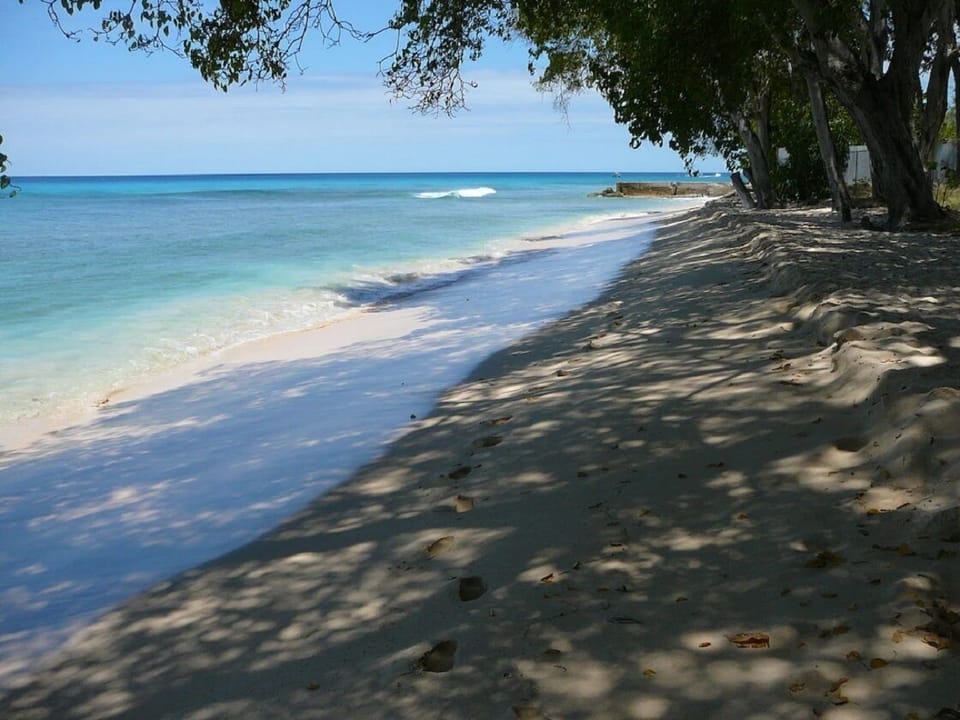 Prospect beach looking north