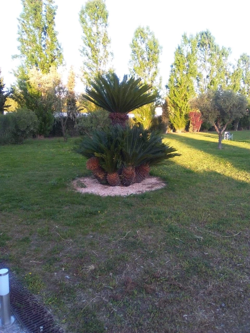 Property grounds