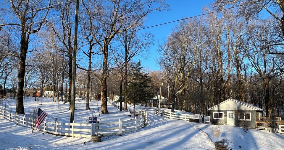View of Forever Young from Hwy 136  E.  (Jan, 2025)