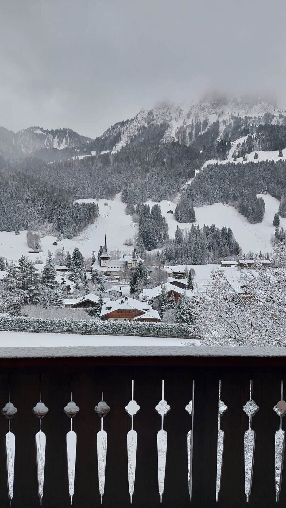 view of the town on a winter day