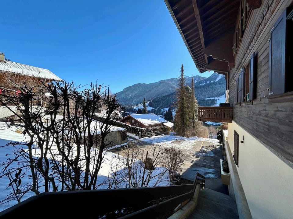 staircase going from the parking space to the path to the chalet 