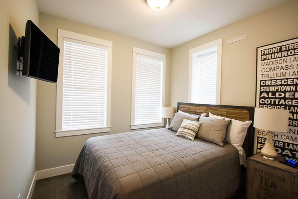 Lower Level - Guest bedroom with flat screen TV