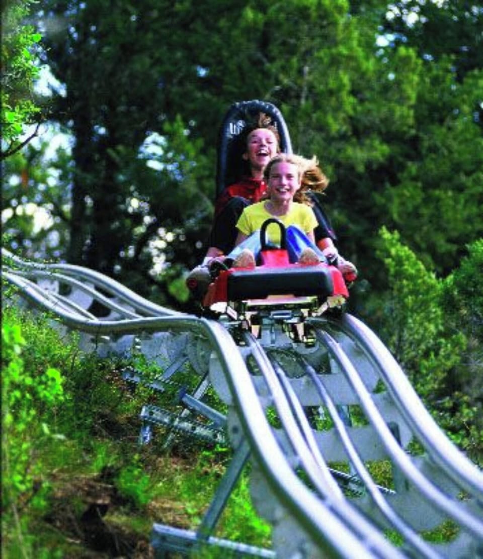 Mountain Coaster open Year Round all Season!