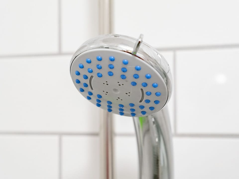 Hand-held showerhead