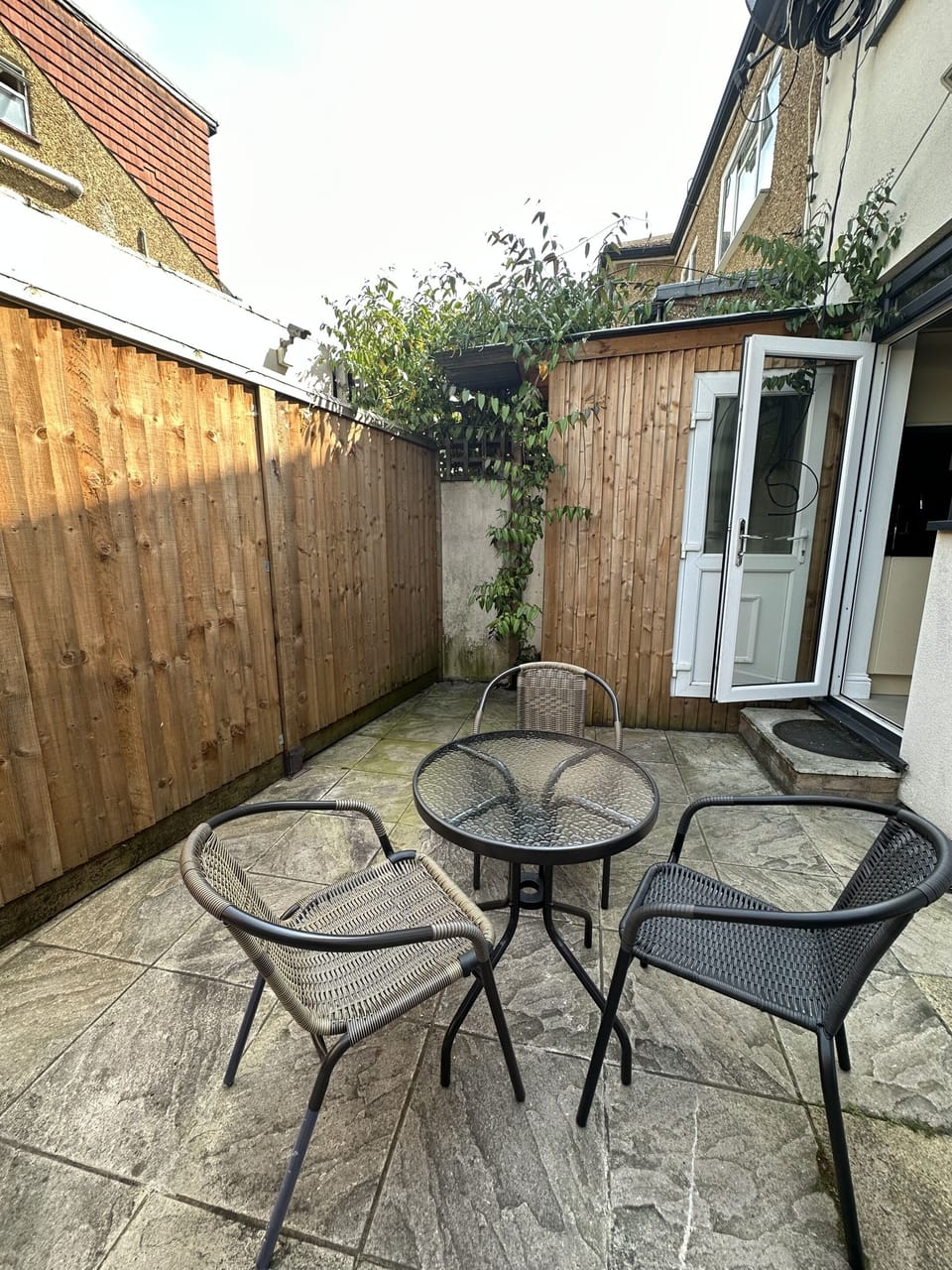 Back Garden