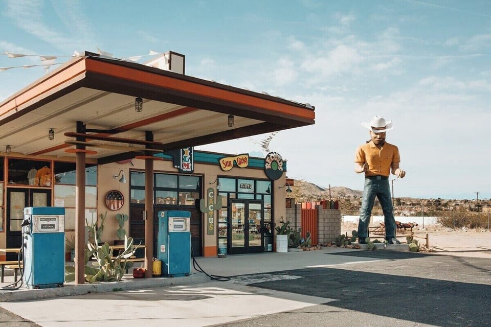 Iconic Joshua Tree just a short walk from home.