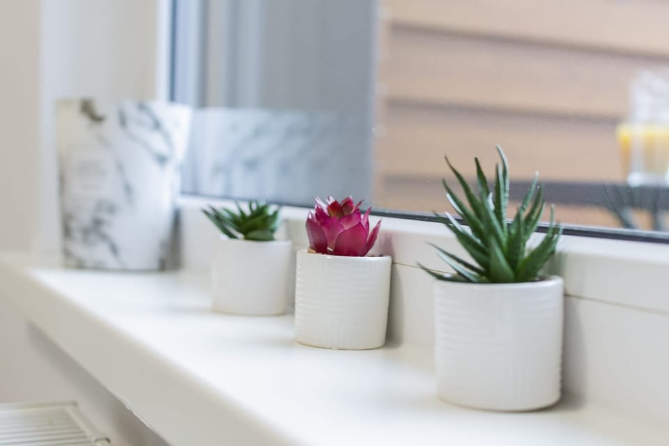 A touch of greenery and succulents adorn the windowsill, adding a fresh and modern vibe to the interior.