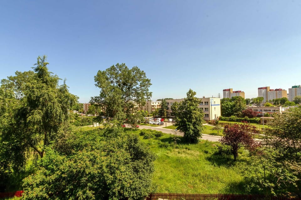 A serene view of lush greenery and surrounding buildings, offering a tranquil escape.





