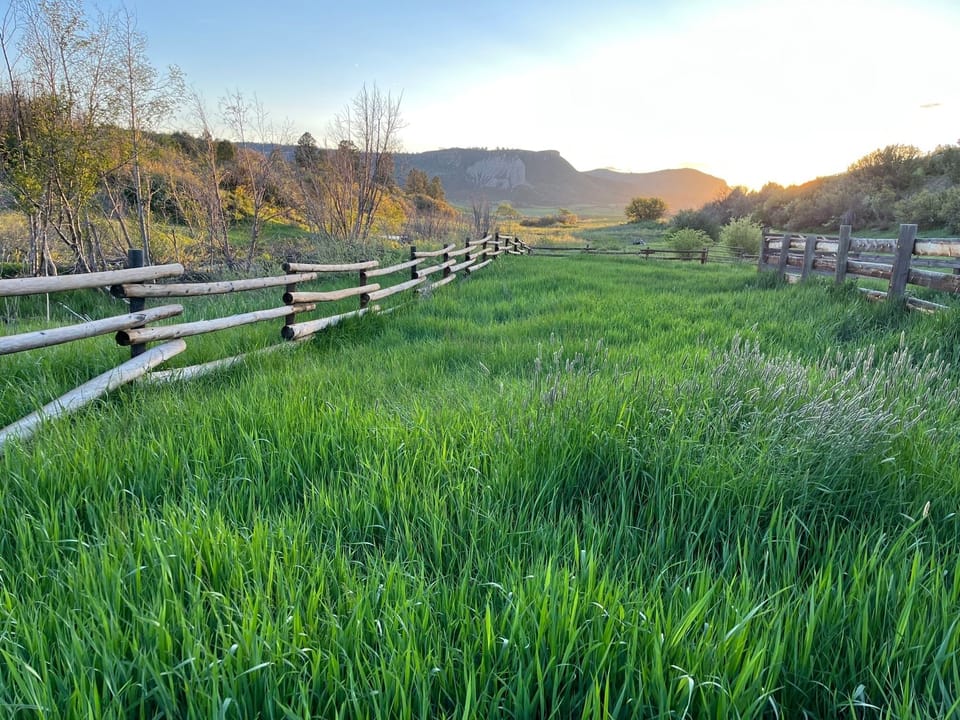 Plenty of walking trails and room to roam on the property