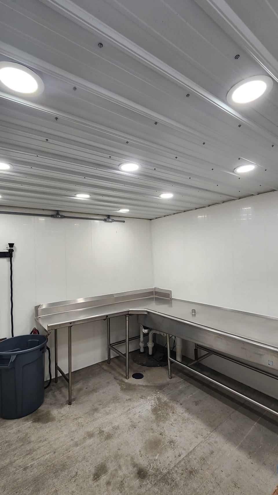 Bird Cleaning Room