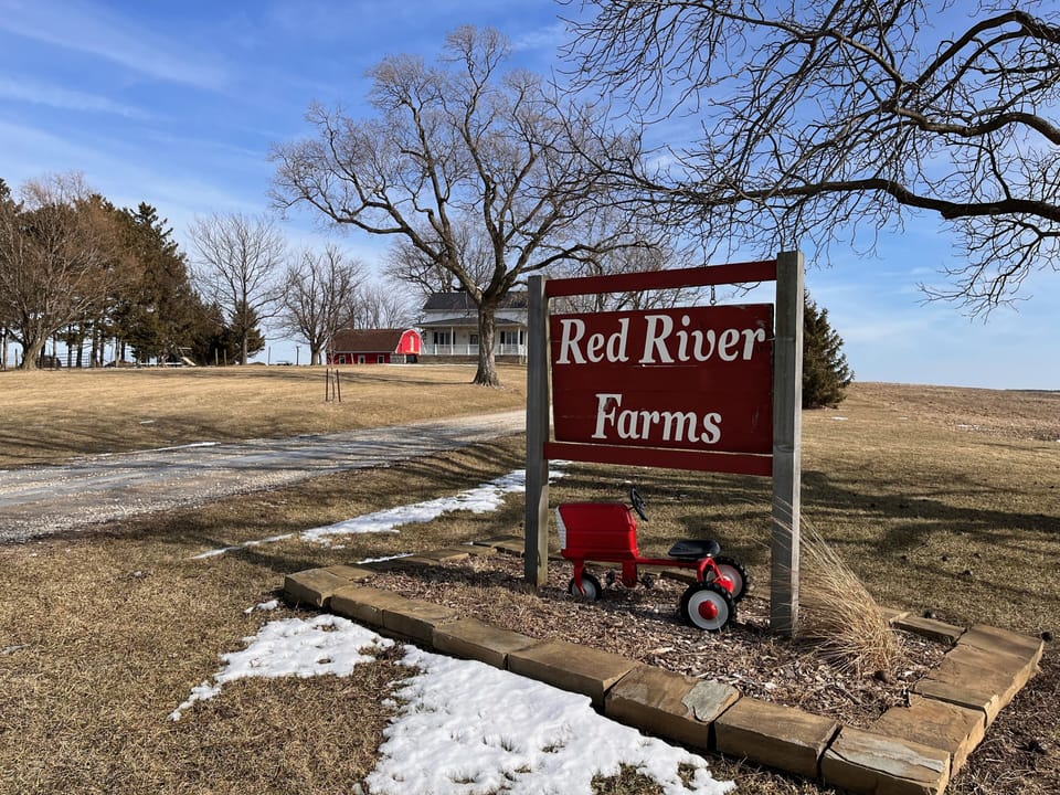 What you will see when you enter the property. 