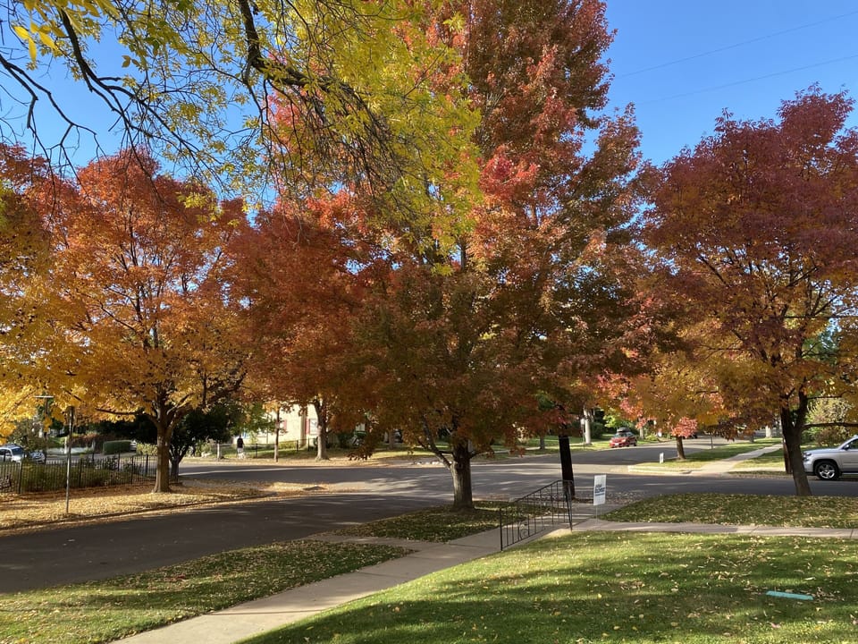 Street view of fall colors from front porch
