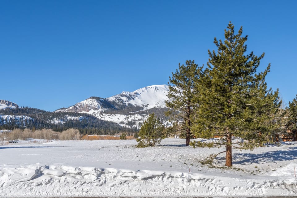 View from the deck - Mammoth Mountain - View from the balcony ~ winter