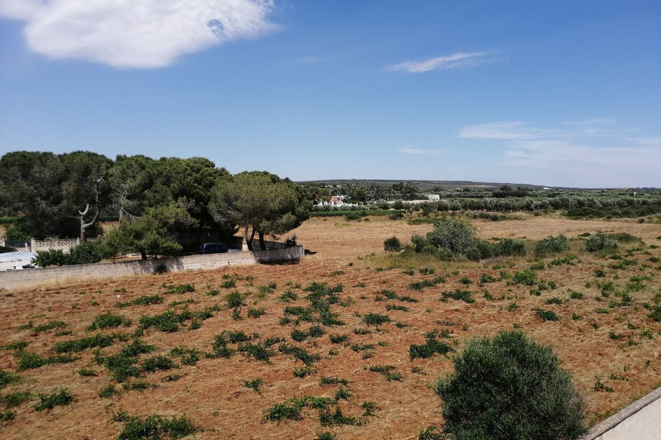 View from Holiday Home [summer]