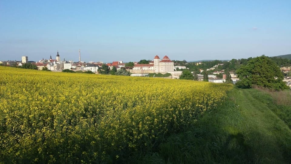 about 300 m from the villa - view on the castle and old town of Mlada Boleslav
