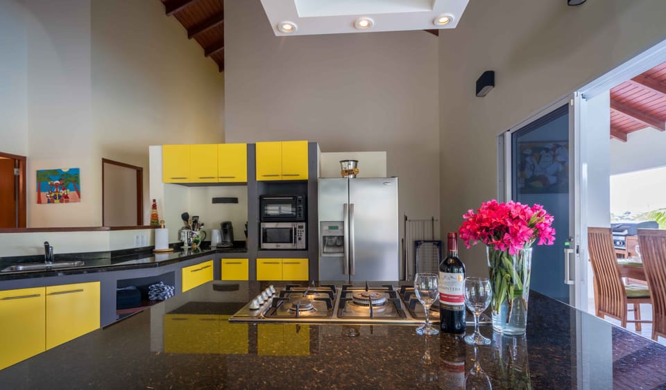 Built in ice maker, large countertops, built in gas stove.
