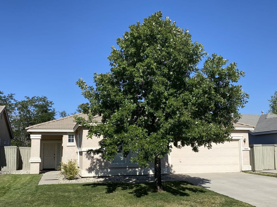 Fully-furnished home with private back yard in quiet, safe suburban neighborhood House in Reno