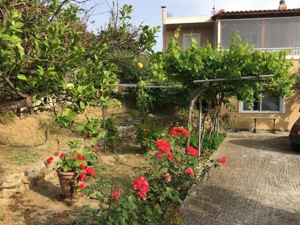 Garden in Physis rental estate