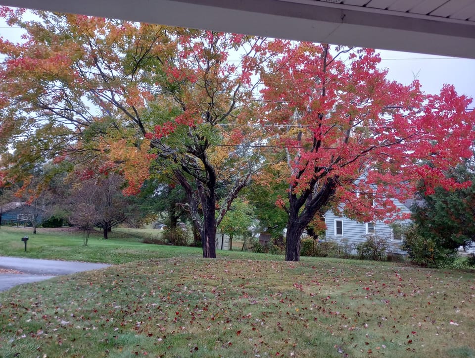 View from front porch in the fall 
