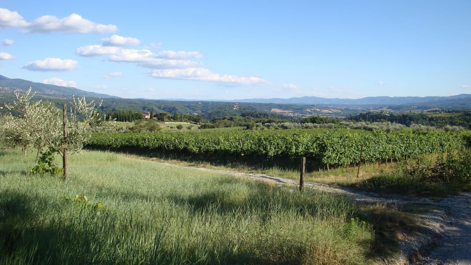 Panoramic view