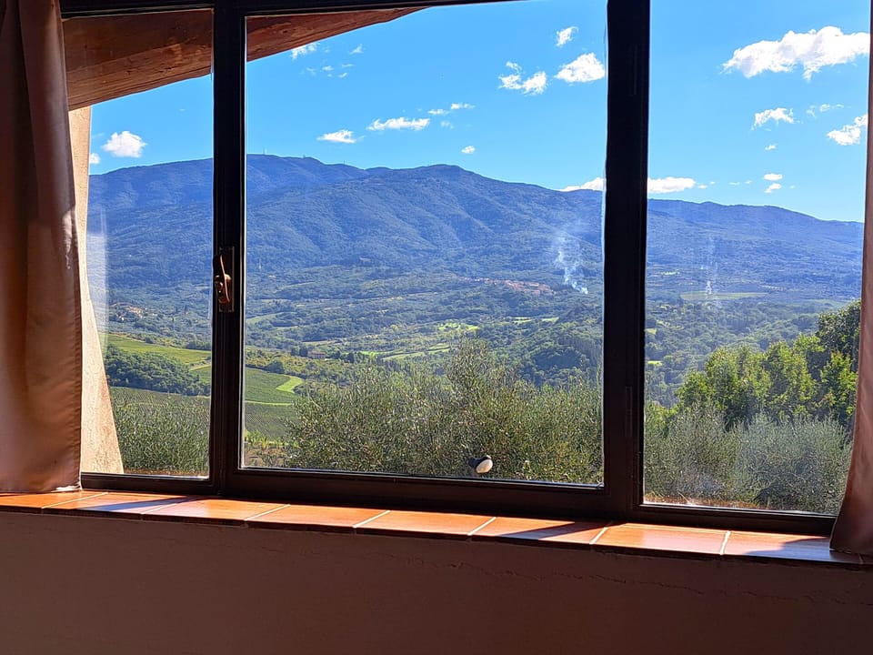 Panaromic windows