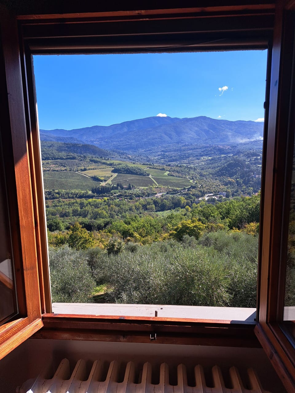 Panoramic window