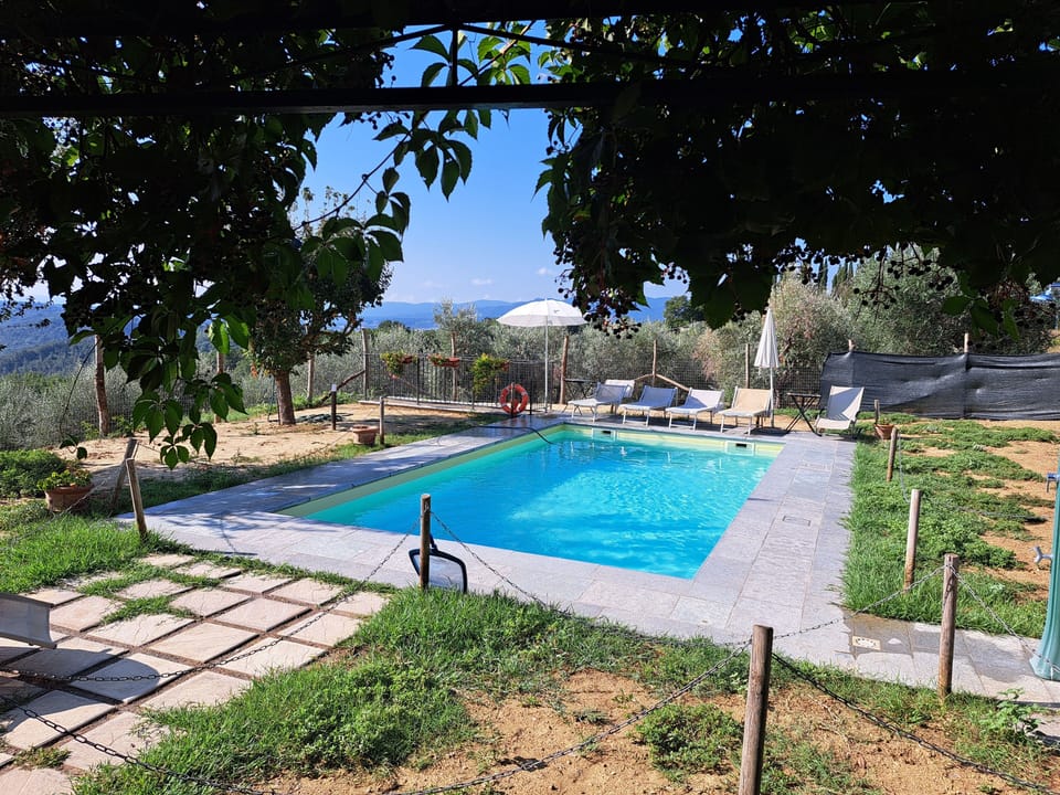 Panoramic pool and pool garden