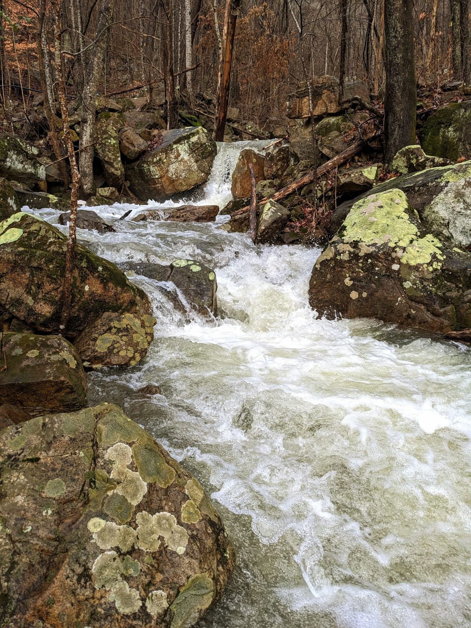 Sulphur Branch Creek runs just behind The Bird House